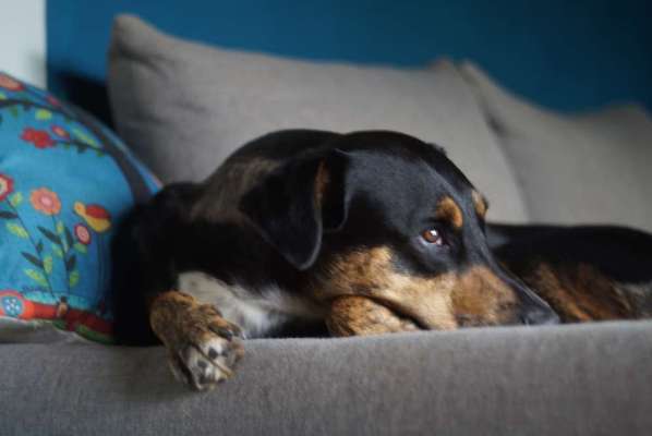 Was sie wohl gerade denken ?-Beitrag-Bild