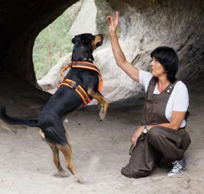 FOTOCHALLENGE 45: Dein Hund und Du - ein eingespieltes Team-Beitrag-Bild