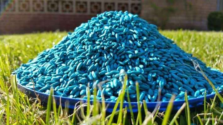 Giftig oder nicht?-Beitrag-Bild