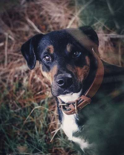 Fotochallange Nr. 57     PORTRÄT.   Beendet!!!!!!!!-Beitrag-Bild