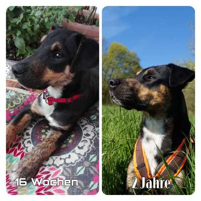 Vorher.... Nachher-Beitrag-Bild