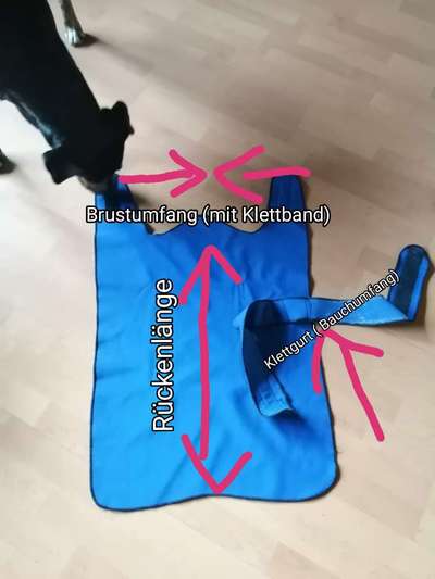 Bastelstunde für den Vierbeiner-Beitrag-Bild