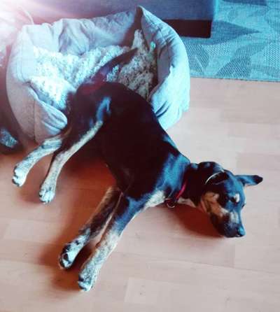 CHALLENGE NR. 34 - Liege-/Schlafpositionen-Beitrag-Bild