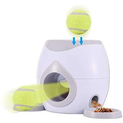 Ballwurfmaschine für Hunde-Beitrag-Bild