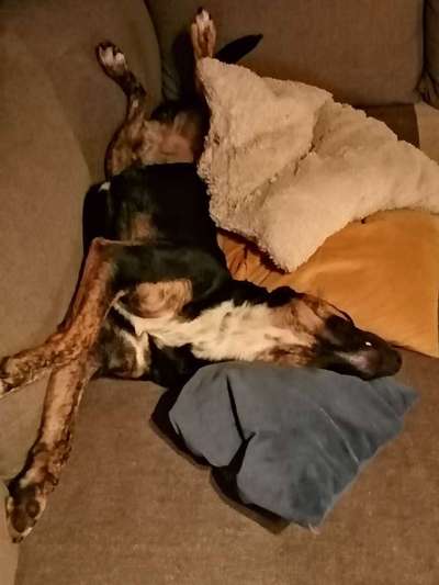 Die unbequemsten und lustigsten Schlafpositionen-Beitrag-Bild