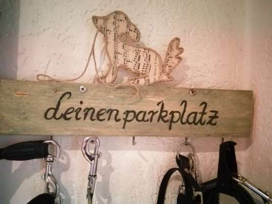 Bastelstunde für den Vierbeiner-Beitrag-Bild