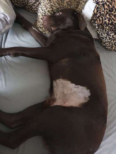 Challenge Nr. 10: "Das schönste Lächeln"-Beitrag-Bild