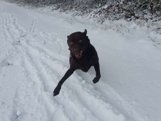 Fotochallange Nr. 6 Die irrsten Blicke-Beitrag-Bild