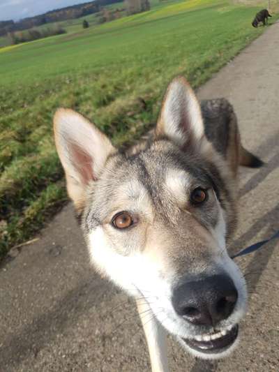 Challenge Nr. 10: "Das schönste Lächeln"-Beitrag-Bild