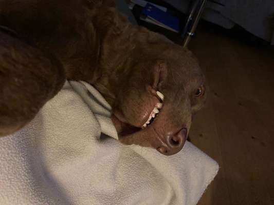 Fotochallange Nr. 6 Die irrsten Blicke-Beitrag-Bild