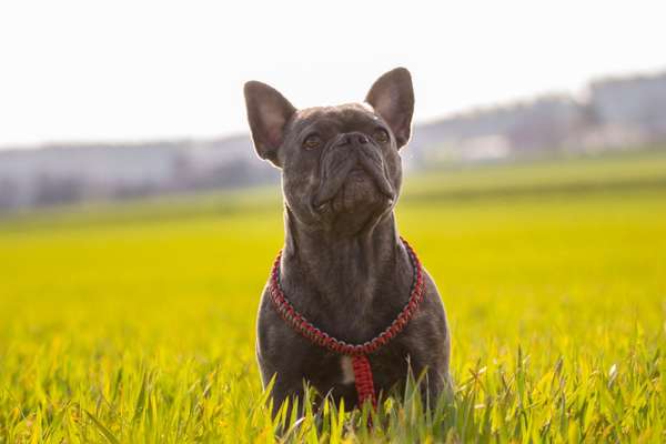 Postet eure schönsten Bilder von Spaziergängen in 2020!-Beitrag-Bild