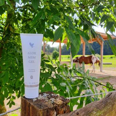 %{de_profession_title}-MSM Gel-Bild