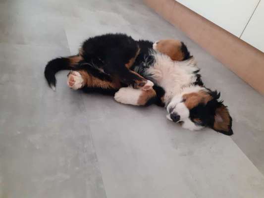 Sie werden so schnell erwachsen ...-Beitrag-Bild