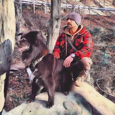 Hundetreffen-Spielerunden in der Natur-Bild