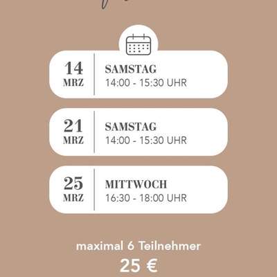 Hundetreffen-Social Walk-Bild