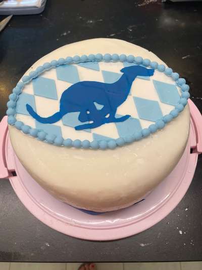 Windhunde - Treffen der besonderen Schönheiten
HERZLICH WILLKOMMEN-Beitrag-Bild