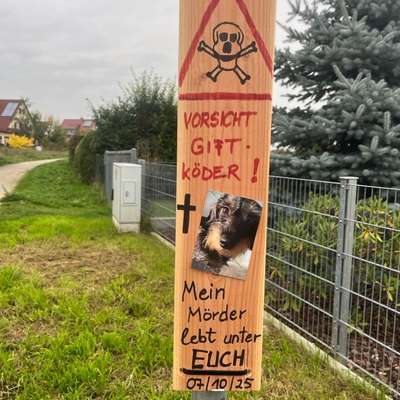 Giftköder-Giftköder-Bild
