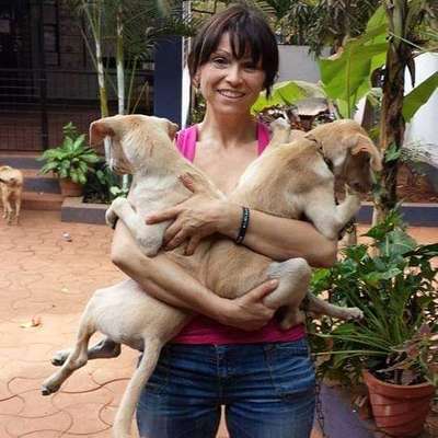 Hundetreffen-Gassirunde - Start am Reiterstüble in 70195 Stuttgart