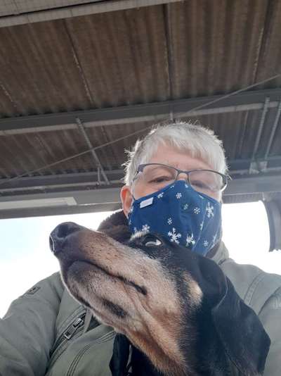 Die Dogorama Wochen Challenge-Beitrag-Bild