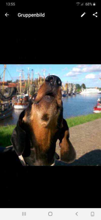 Lieblingsbild-Beitrag-Bild