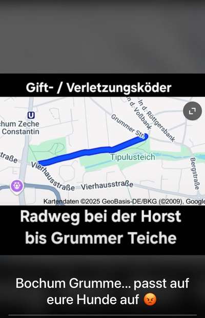 Giftköder-Giftköder..... Wurst mit Nägel-Bild