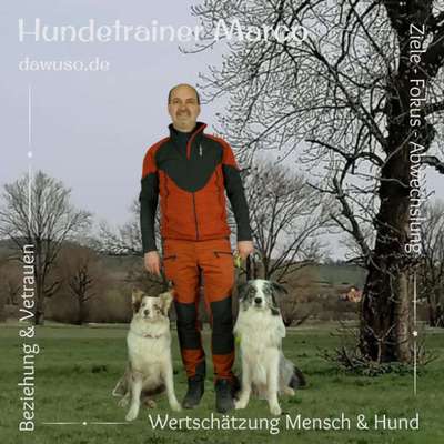 Hundeschulen-Marco Schüttler Hundetrainer-Bild