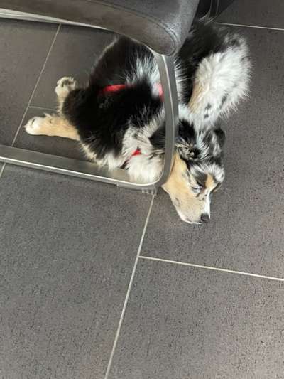 Die unbequemsten und lustigsten Schlafpositionen-Beitrag-Bild