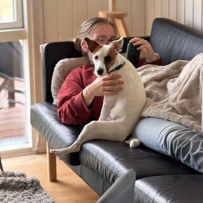 Hundetreffen-Playdate 🧡-Profilbild