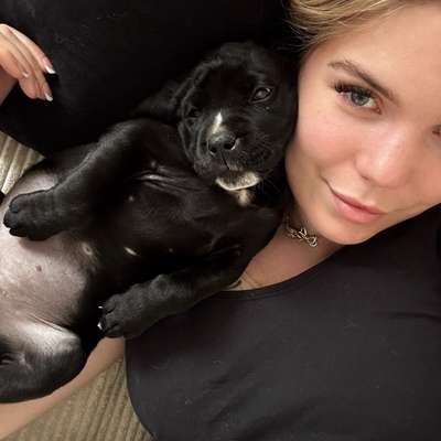 Hundetreffen-Welpentreffen BRB/Nauen/Ketzin
