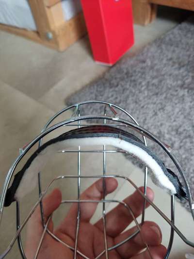 Wie sitzt mein Maulkorb / Maulkorb-Beratung-Beitrag-Bild