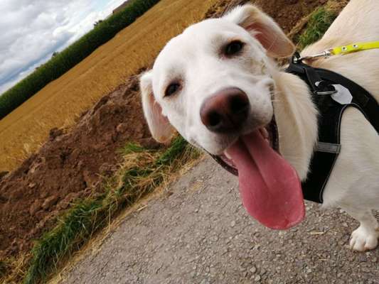 Fotochallange 84-Beitrag-Bild