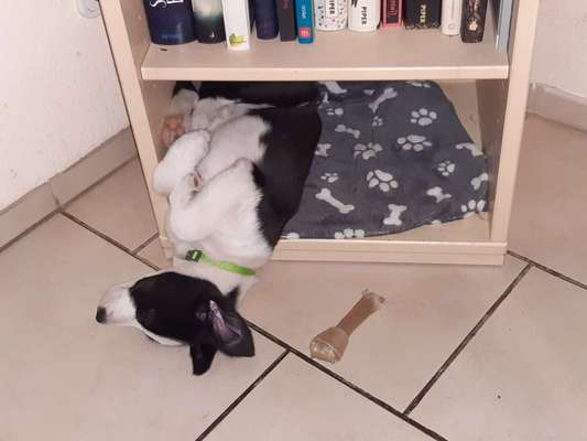 4. Lustiger Schlafplatz-Beitrag-Bild