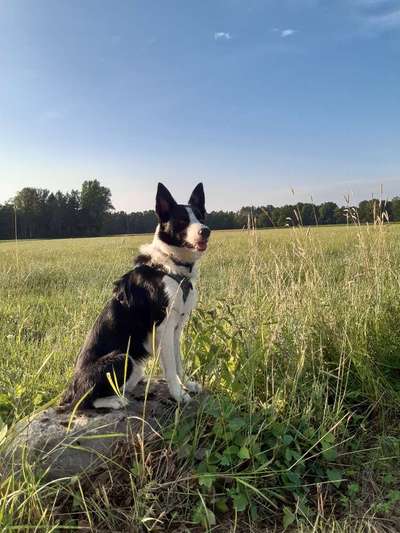 Ist das ein...?-Beitrag-Bild