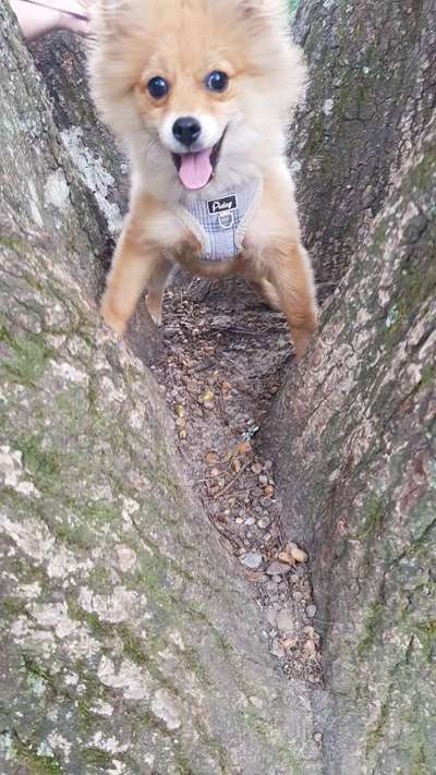 Fotowettbewerb Natur-Beitrag-Bild