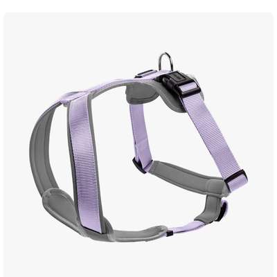 Rundes Hundegeschirr für Langhaar-Beitrag-Bild