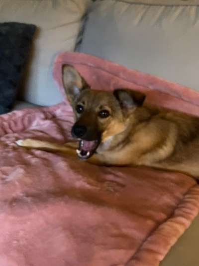 Fotochallenge Nr.122-Beitrag-Bild