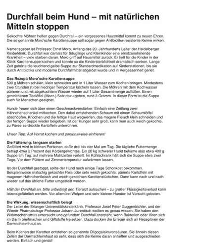 Breiiger Kot nach Durchfall-Beitrag-Bild