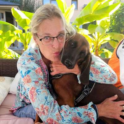 Hundetreffen-Treffen zum spielen und toben-Bild