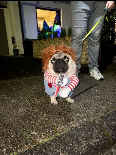 Lieblingsbild :D-Beitrag-Bild