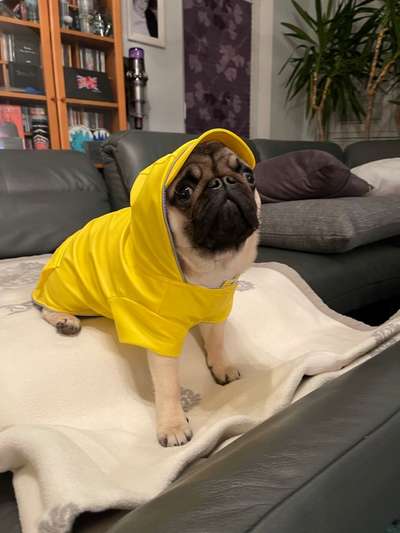 Lieblingsbild :D-Beitrag-Bild