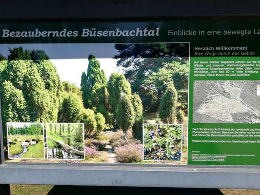 Hundeauslaufgebiet-Büsenbachtal-Bild