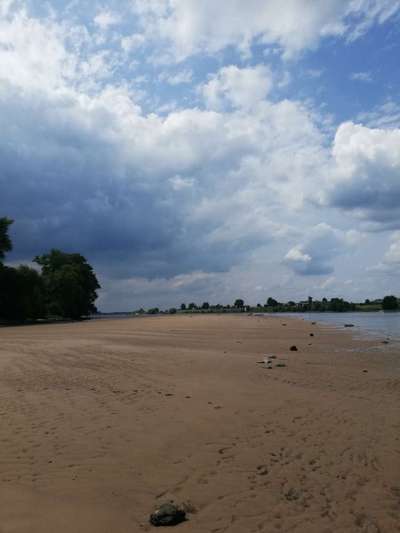 Hundeauslaufgebiet-Stover Strand hinter der Trabrennbahn-Bild