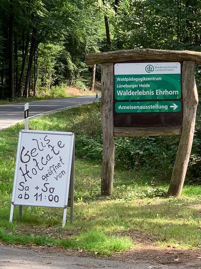 Hundeauslaufgebiet-Walderlebnis Ehrhorn, Erlebnispfad in der Lüneburger Heide.-Bild