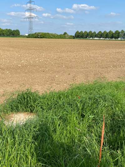 143. Fotochallenge: Ja, wo isser denn?-Beitrag-Bild