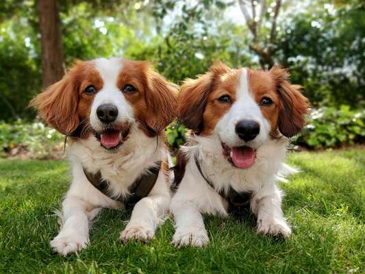 Fotochallenge 88-Beitrag-Bild