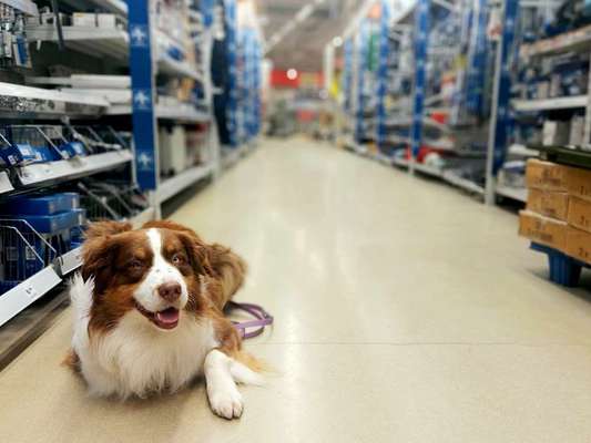 Was hat euch heute gefreut?-Beitrag-Bild