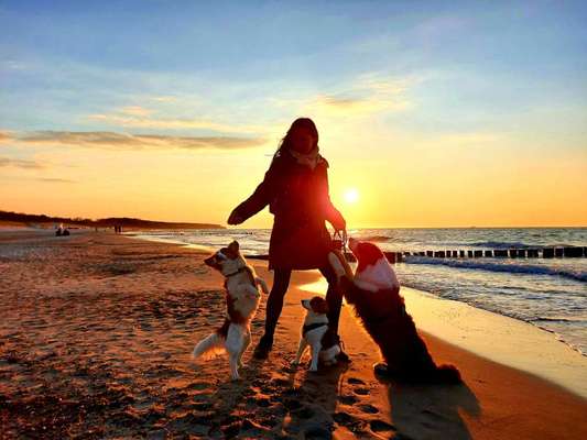 Sonnenaufgänge oder - untergänge-Beitrag-Bild