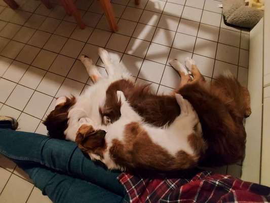 Foto Challange Nr.80-Beitrag-Bild