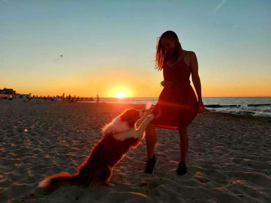 Sonnenaufgänge oder - untergänge-Beitrag-Bild