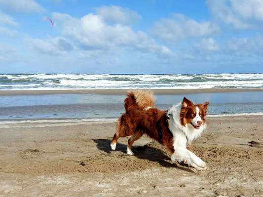 Fotochallenge Nr 50 Vom Winde verweht-Beitrag-Bild